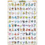 Pokemon Poster aus Papier 