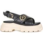 Pollini, Black sandals Schwarz, Damen, Größe: 37 E