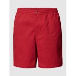 Polo Ralph Lauren Big & Tall PLUS SIZE Shorts im Regular Fit
