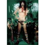 Frank Zappa Underwear Music Poster Print Poster, 59x84