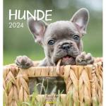 Reduzierte Fotokalender mit Hundemotiv 