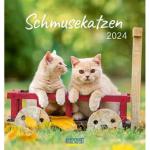 Reduzierte Fotokalender mit Katzenmotiv 