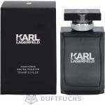 Karl Lagerfeld Eau de Toilette 100 ml 
