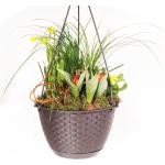 Braune Moderne 60 cm PowerTec Garden Runde Pflanzenampeln & Blumenampeln 14 cm aus Polyrattan Indoor 
