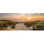 Sandfarbene Pro Art Rechteckige Landschaftsbilder mit Strand-Motiv aus Glas 50x125 