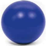 Blaues Treibball-Zubehör 