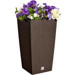 Reduzierte Prosperplast Rato Quadratische Pflanzkübel & Blumentöpfe aus Polyrattan Indoor 