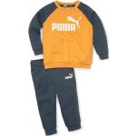 Puma Baby Trainingsanzug Minicats ESS Raglan Jogger 846143-30 98