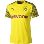 Puma Borussia Dortmund Trainingsshirt