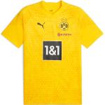 Puma Herren Borussia Dortmund Trainings Trikot 2023/24 771826-01 M