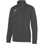 Schwarze Sportliche Puma Liga Zip Hoodies & Sweatjacken mit Reißverschluss aus Polyester für Herren Größe S 