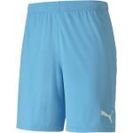 Blaue Puma teamGOAL Shorts 