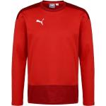 Rote Puma teamGOAL Sweatshirts 