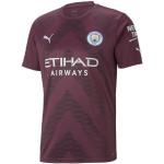 PUMA Trainingsshirt »Manchester City F.C. kurzärmliges Torwarttrikot für Herren«, lila, Grape Wine Black Purple