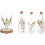 Pureday Deko-Objekt Flaschen-Set / Glasglocke, mit Trockenblumen