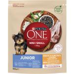 Purina ONE Mini Junior Trockenfutter für Hunde 800 g