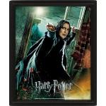 Pyramid Europe Harry Potter (Deathly Hallows Snape) 3D Bilderrahmen 30 x 40 cm