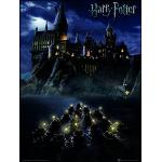 Bunte Harry Potter Hogwarts Poster aus MDF mit Rahmen 30x40 