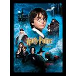 Bunte Harry Potter Poster aus MDF mit Rahmen 30x40 
