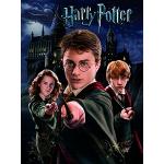 Harry Potter Hermine Granger Leinwanddrucke Querformat 60x80 