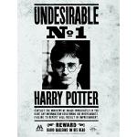 Harry Potter Leinwanddrucke Querformat 60x80 