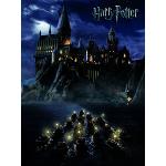 Reduzierte Bunte Harry Potter Leinwanddrucke aus MDF Querformat 60x80 