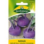 Quedlinburger Kohlrabi, Delikateß blauer, Brassica oleracea var. gongylodes