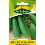 Quedlinburger Salat- und Einlegegurken, Delikateß