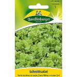 Quedlinburger Schnittsalat, Verde ricciolina da taglio