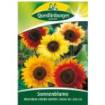 Quedlinburger Sonnenblumen, Mischung hoher Sorten