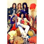 Reduzierte Freddie Mercury Poster 