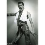 Freddie Mercury Poster 