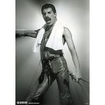 Freddie Mercury Poster 