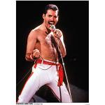 Bunte Freddie Mercury Poster 