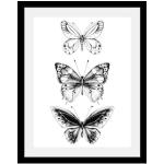 Schwarze Queence Kunstdrucke mit Schmetterlingsmotiv 30x40 