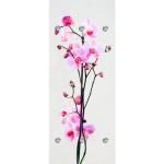 Rosa Motiv Queence Garderobenleisten & Hakenleisten mit Orchideenmotiv Breite 0-50cm, Höhe 100-150cm, Tiefe 0-50cm 
