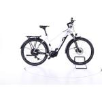 R Raymon CrossRay E 5.0 E-Bike Damen 2022