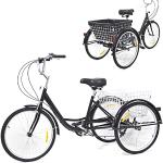 RainWeel Dreirad für Erwachsene 24 Zoll Fahrrad mi