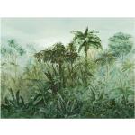 Olivgrüne Tropische Bilder & Wandbilder 