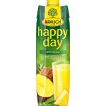 Rauch Fruchtsäfte Happy Day Vegane Ananassäfte 