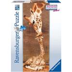 1000 Teile Ravensburger Panorama Puzzles mit Giraffen-Motiv 