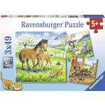 Ravensburger Puzzles für Mädchen 