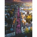 Reduzierte 1500 Teile Ravensburger Puzzles mit Städtemotiv 