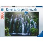 Reduzierte 3000 Teile Ravensburger Puzzles 