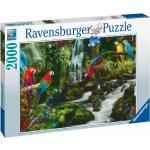 2000 Teile Ravensburger Puzzles mit Papageienmotiv 