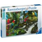 Ravensburger Puzzle: Bunte Papageien im Dschungel (2000 Teile)
