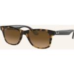 Ray-Ban Sonnenbrille RB4640