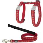 Red Dingo Cat Harness & Lead Designs Paw Impressions red