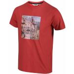 Reduzierte Rosa Casual Kurzärmelige Regatta Rundhals-Ausschnitt T-Shirts aus Baumwolle für Herren Größe S für den für den Sommer 