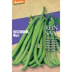 ReinSaat Buschbohne Maxi (1 Packung)